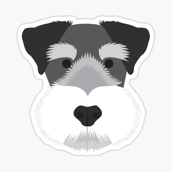 Miniature Schnauzer Sticker