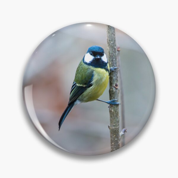 Item preview, Great tit designed and sold by Stephen Jarman.