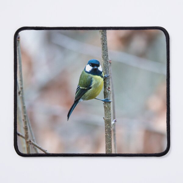 Item preview, Great tit designed and sold by Stephen Jarman.