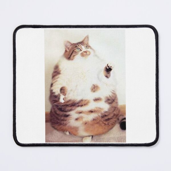 Item preview, Vintage Obese Cat designed and sold by daniellajaz-funkywork.