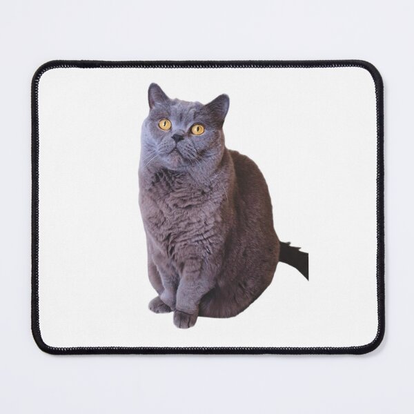 Item preview,  British Shorthair Cat - Buba designed and sold by MichaelBullCat.
