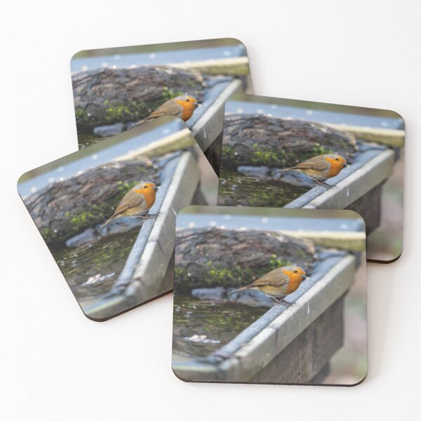 Item preview, Robin on water bath  designed and sold by Stephen Jarman.