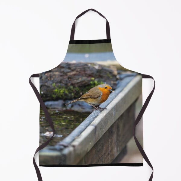 Item preview, Robin on water bath designed and sold by Stephen Jarman.