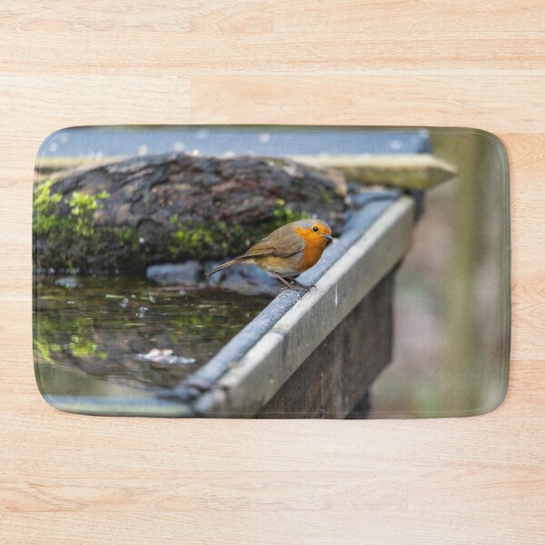 Item preview, Robin on water bath  designed and sold by Stephen Jarman.