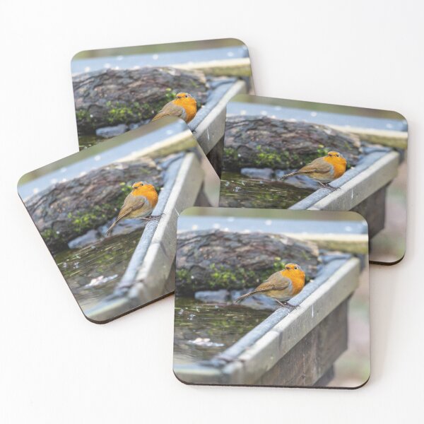 Item preview, Robin on bath  designed and sold by Stephen Jarman.