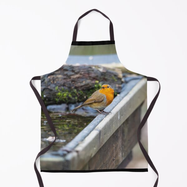 Item preview, Robin on bath designed and sold by Stephen Jarman.