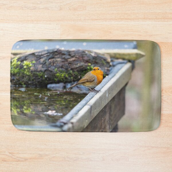 Item preview, Robin on bath  designed and sold by Stephen Jarman.