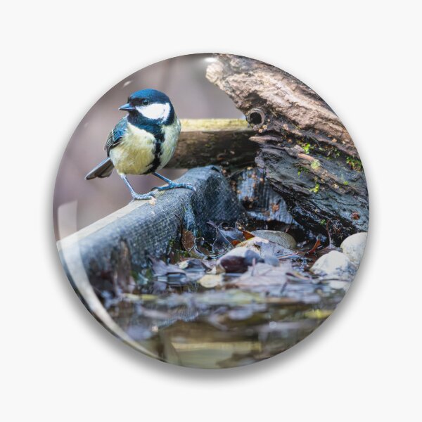 Item preview, Great tit (Parus major) designed and sold by Stephen Jarman.