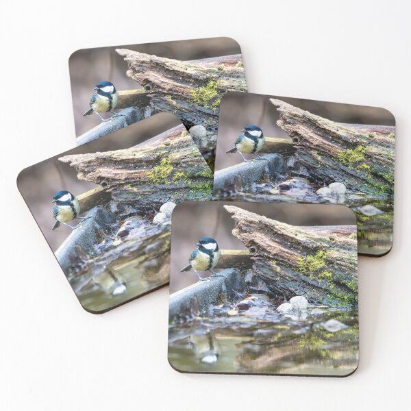 Item preview, Great tit (Parus major) designed and sold by Stephen Jarman.