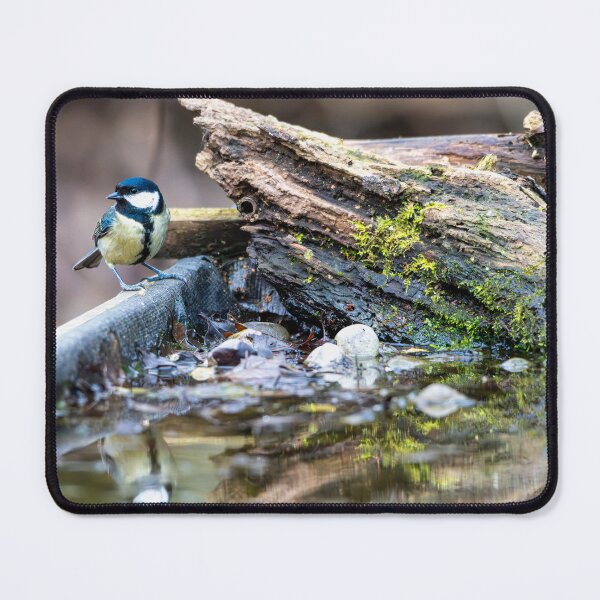 Item preview, Great tit (Parus major) designed and sold by Stephen Jarman.