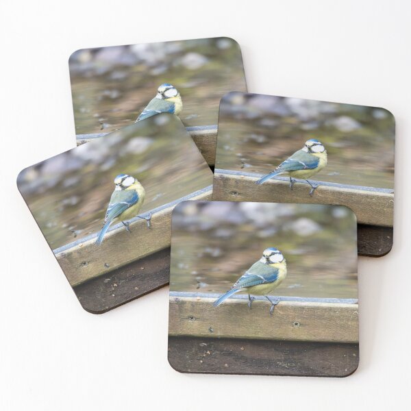 Item preview, Eurasian blue tit (Cyanistes caeruleus) designed and sold by Stephen Jarman.