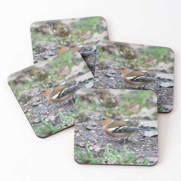 Item preview, Male eurasian chaffinch (Fringilla coelebs) designed and sold by Stephen Jarman.