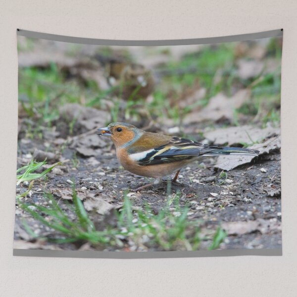 Item preview, Male eurasian chaffinch (Fringilla coelebs) designed and sold by Stephen Jarman.