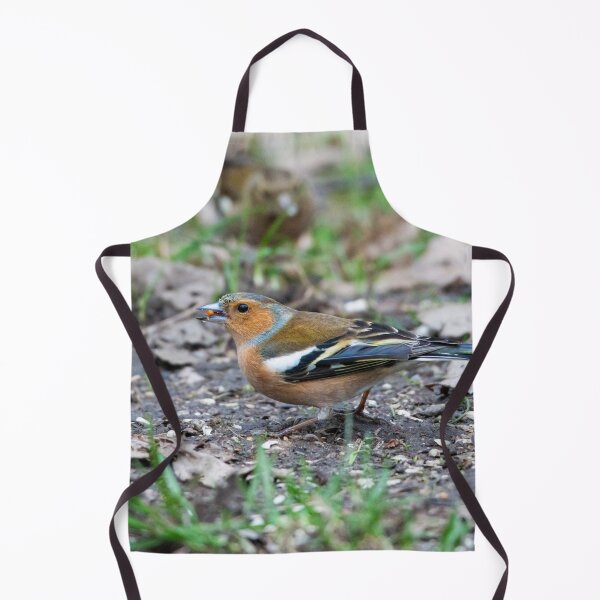 Item preview, Male eurasian chaffinch (Fringilla coelebs) designed and sold by Stephen Jarman.