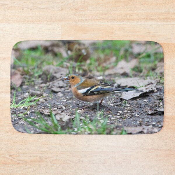 Item preview, Male eurasian chaffinch (Fringilla coelebs) designed and sold by Stephen Jarman.