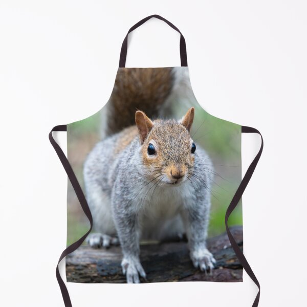 Item preview, Eastern grey squirrel (Sciurus carolinensis) designed and sold by Stephen Jarman.
