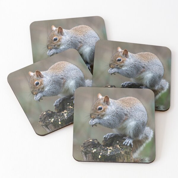 Item preview, Eastern grey squirrel (Sciurus carolinensis)  designed and sold by Stephen Jarman.