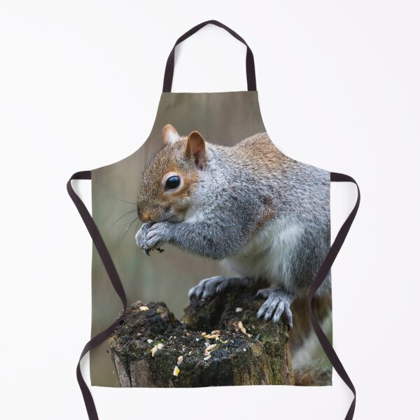 Item preview, Eastern grey squirrel (Sciurus carolinensis)  designed and sold by Stephen Jarman.