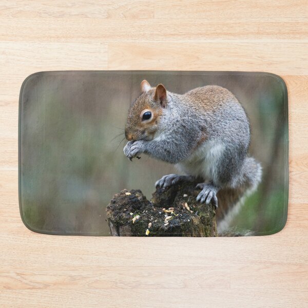 Item preview, Eastern grey squirrel (Sciurus carolinensis)  designed and sold by Stephen Jarman.