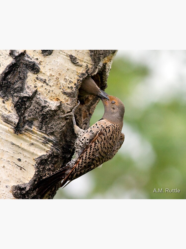 Flicker Breakfast On The Way, Gulping by annruttle