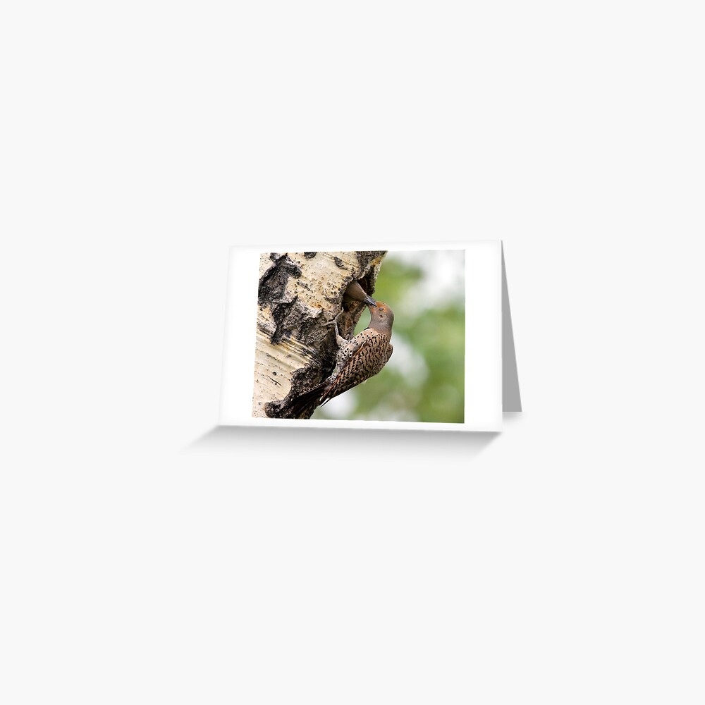 Flicker Breakfast On The Way, Gulping Greeting Card