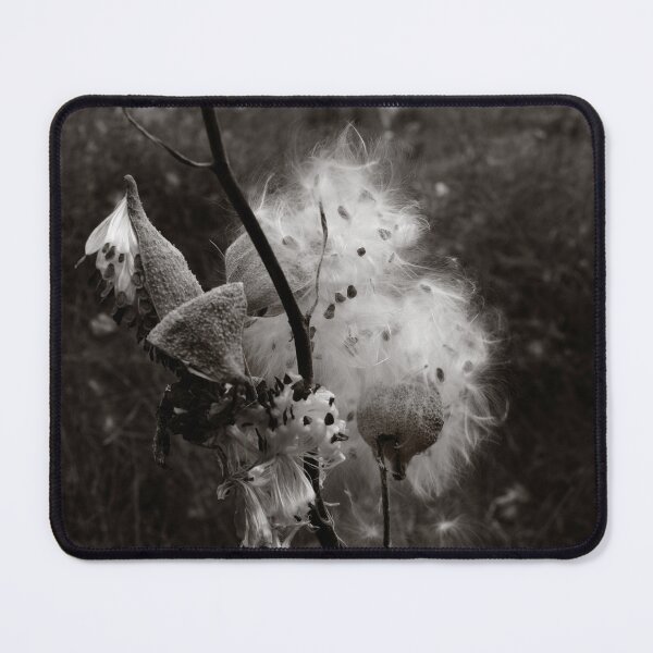 Item preview, Milkweed Monochrome designed and sold by Wayne King.