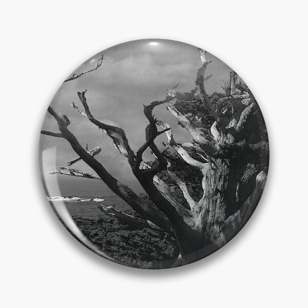 Item preview, Point Lobos Cypress Monochrome designed and sold by Wayne King.