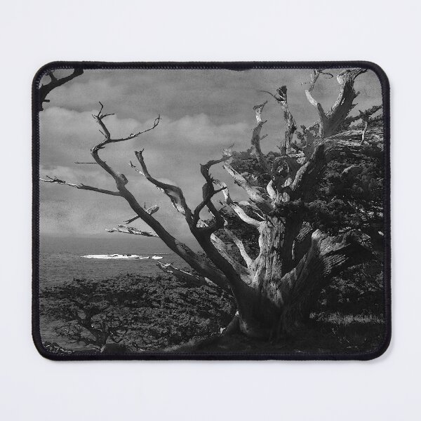 Item preview, Point Lobos Cypress Monochrome designed and sold by Wayne King.