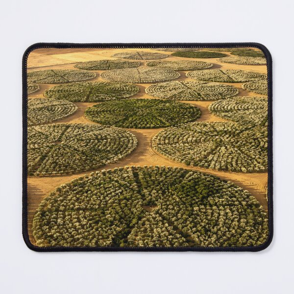 Item preview, Al Jouf Olive Groves, Al Jouf, Saudi Arabia designed and sold by GoldenVerseArt.