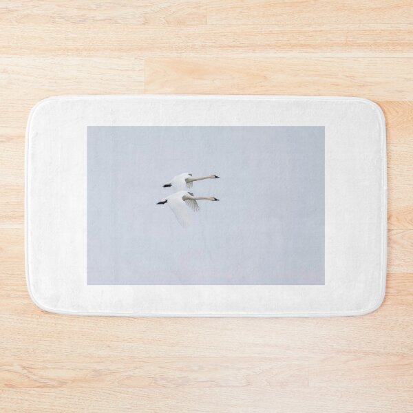 Item preview, A Pair of Tundra Swans in flight 3-20-2026 designed and sold by Thomasyoung.