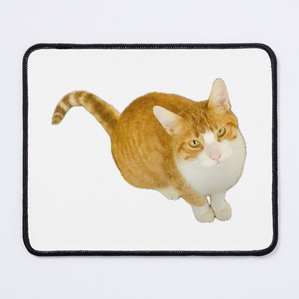 Item preview, Give me the treats! designed and sold by JLB Creations.
