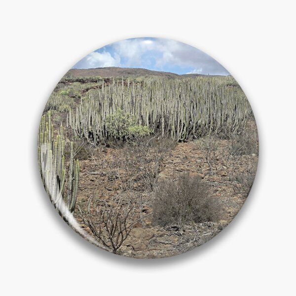 Item preview, Cacti Along the Trail — Gran Canaria, Canary Islands designed and sold by LavaAndLight.