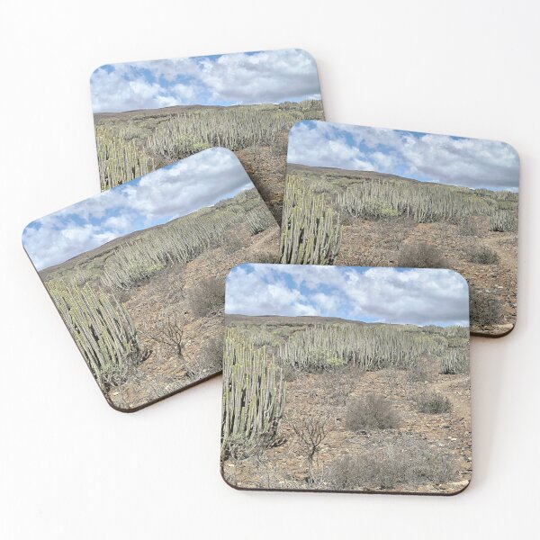 Item preview, Cacti Along the Trail — Gran Canaria, Canary Islands designed and sold by LavaAndLight.