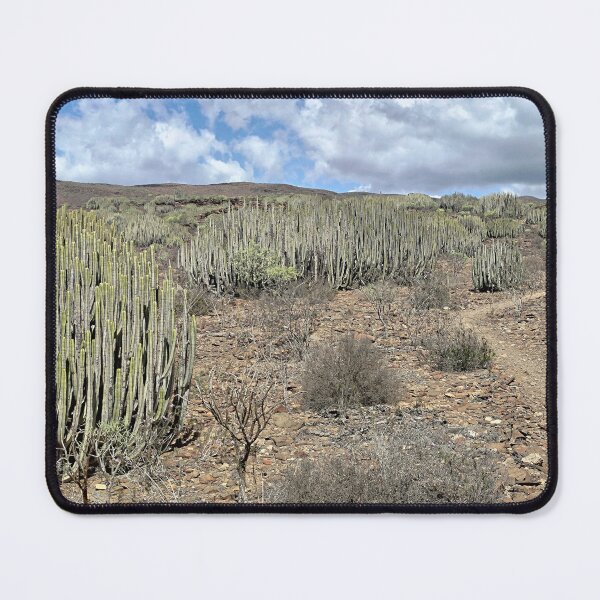 Item preview, Cacti Along the Trail — Gran Canaria, Canary Islands designed and sold by LavaAndLight.