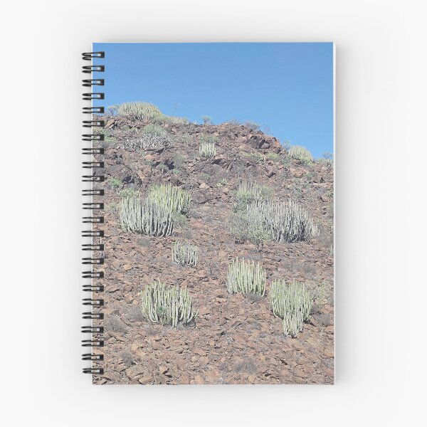Item preview, Cactus Colony on Volcanic Slope — Gran Canaria, Canary Islands designed and sold by LavaAndLight.