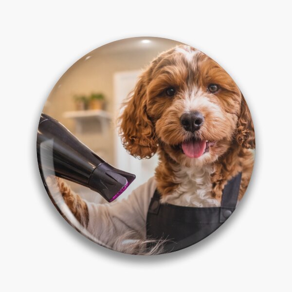 Item preview, Cockapoo Hairdresser Grooming a Cat designed and sold by Paul Thompson Photography.