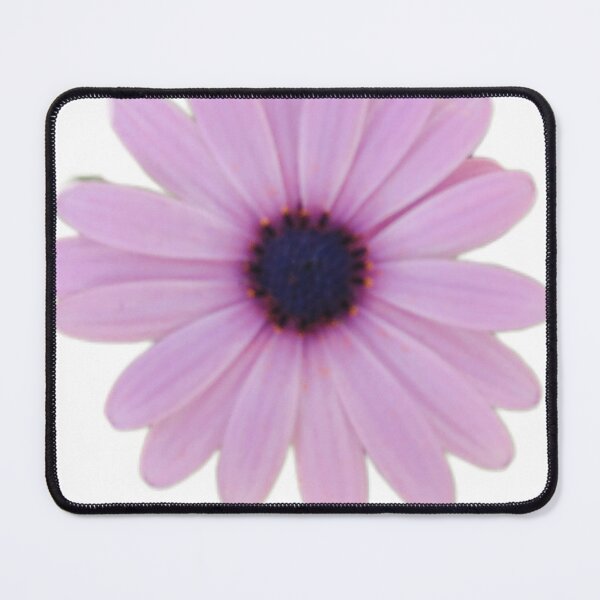 Item preview, African daisy flower  designed and sold by sonamkumari333.