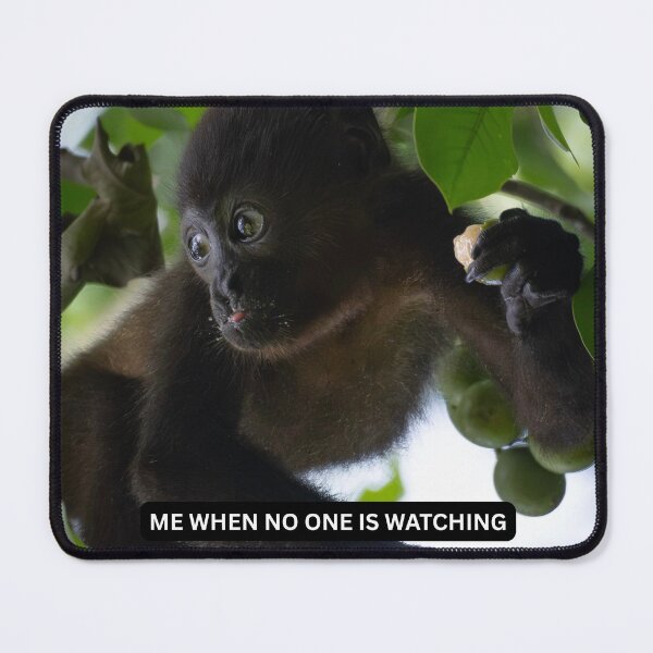 Item preview, Me When No One Is Watching Funny Monkey Meme Capuchin Cute Animal designed and sold by WildFrameNature.