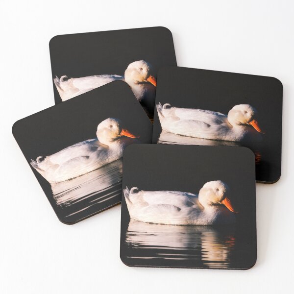Item preview, Feathers And Light designed and sold by Jim Love.