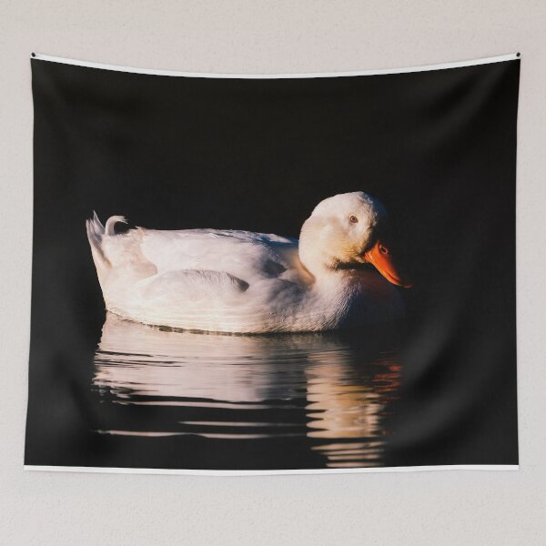 Item preview, Feathers And Light designed and sold by Jim Love.
