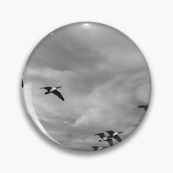 Item preview, Flight Of The Honkers BW designed and sold by Jim Love.