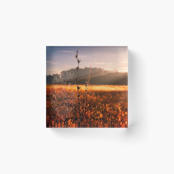 Item preview, Glimmering At Sunrise designed and sold by Jim Love.