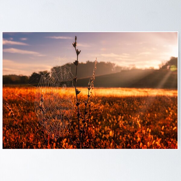 Item preview, Glimmering At Sunrise designed and sold by Jim Love.