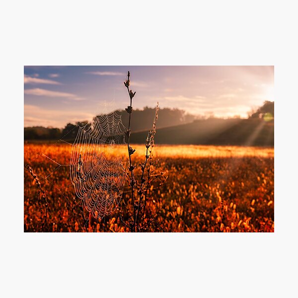 Item preview, Glimmering At Sunrise designed and sold by Jim Love.