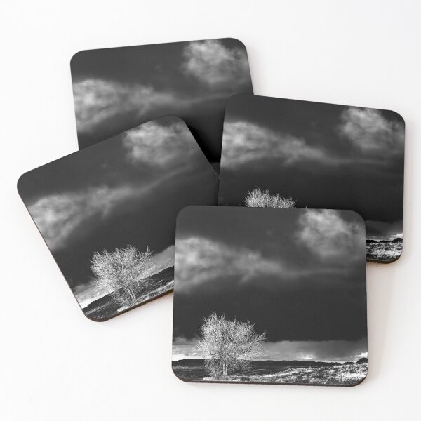 Item preview, Ansel's Cottonwood Vision designed and sold by Wayne King.
