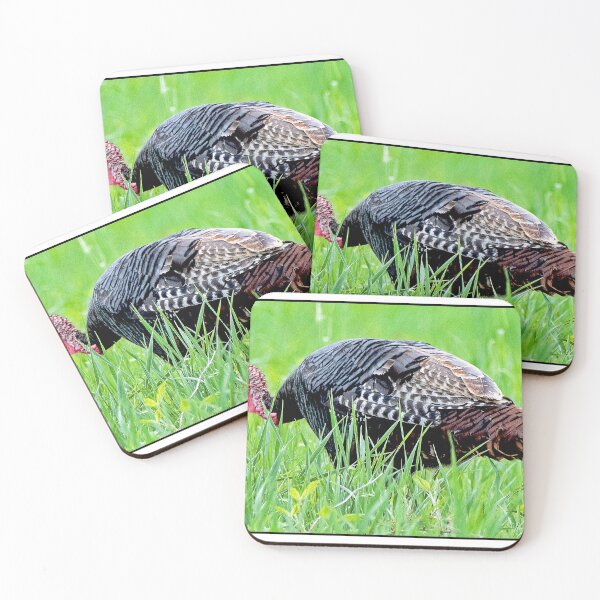 Item preview, Wild Turkey in Meadow High Grass designed and sold by AMacGPhilly.