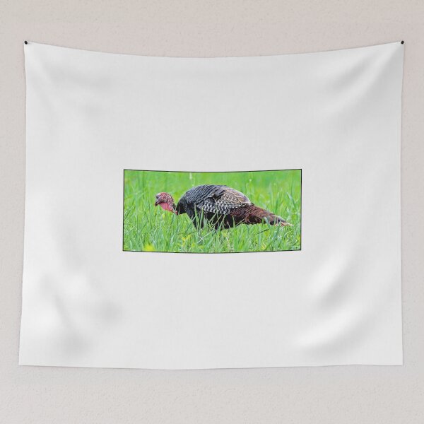 Item preview, Wild Turkey in Meadow High Grass designed and sold by AMacGPhilly.
