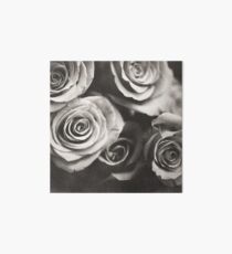 Medium format analog black and white photo of white rose flowers Art Board