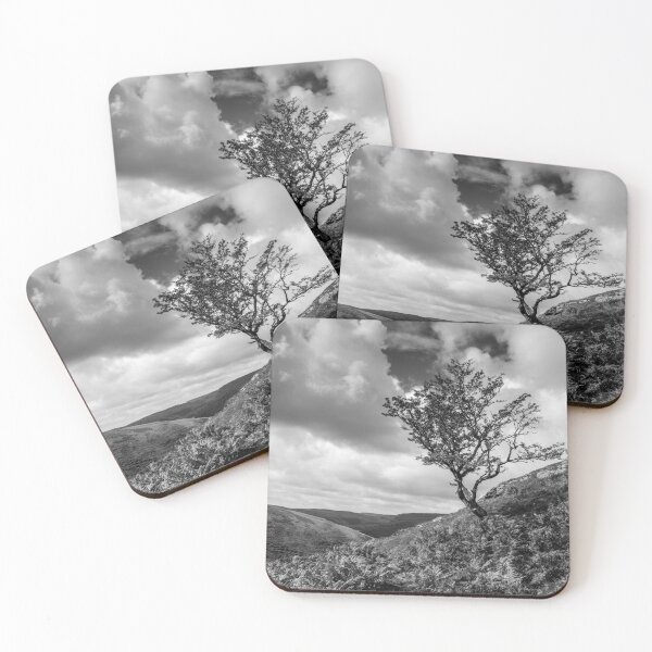 Item preview, Lone Tree, Mid Wales designed and sold by heidipics.