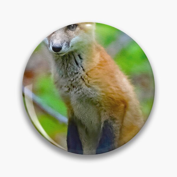 Item preview, Red Fox Kit Sits Outside of Den designed and sold by AMacGPhilly.